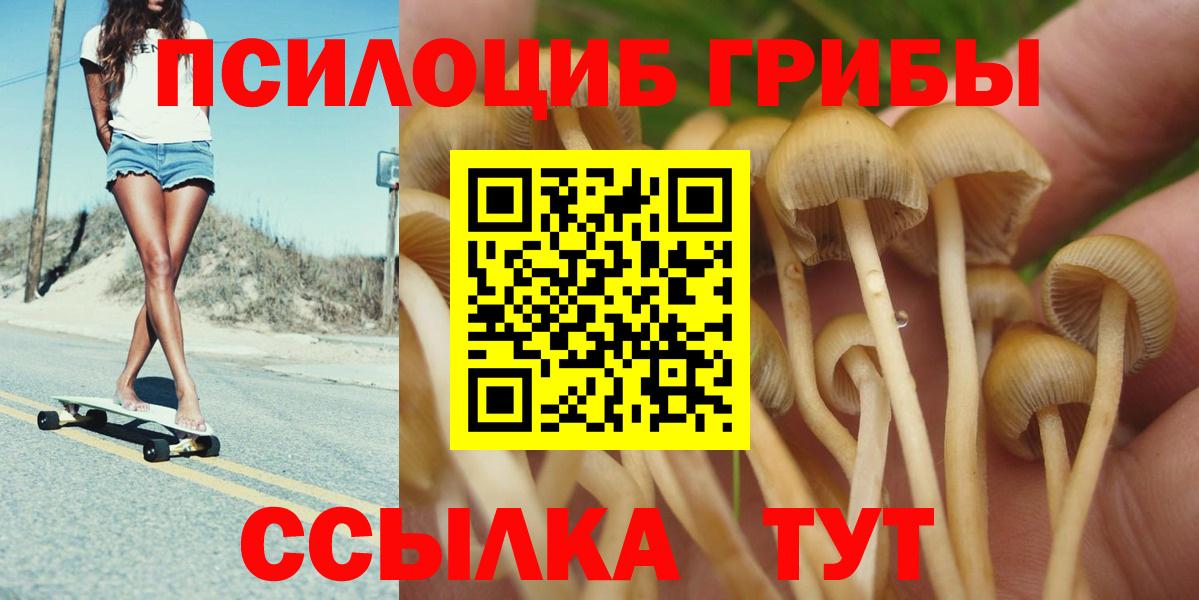 Псилоцибиновые грибы Cubensis  Вход с VPN  Унеча 