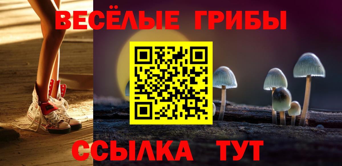 Галлюциногенные грибы MAGIC MUSHROOMS Унеча